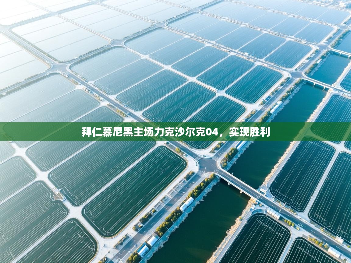 拜仁慕尼黑主场力克沙尔克04，实现胜利