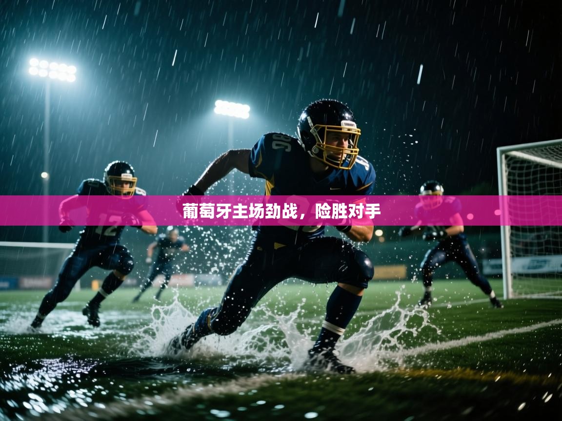 葡萄牙主场劲战,险胜对手 第2张